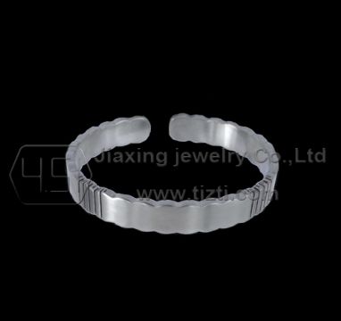 Titanium Bracelet